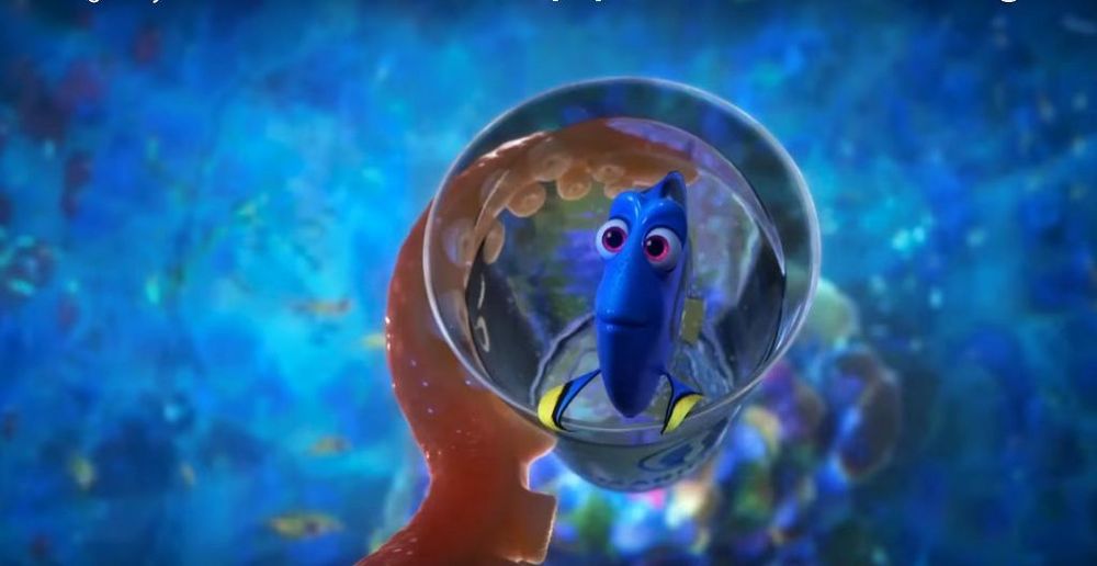 انیمیشن «در جستجوی دوری»(Finding Dory)